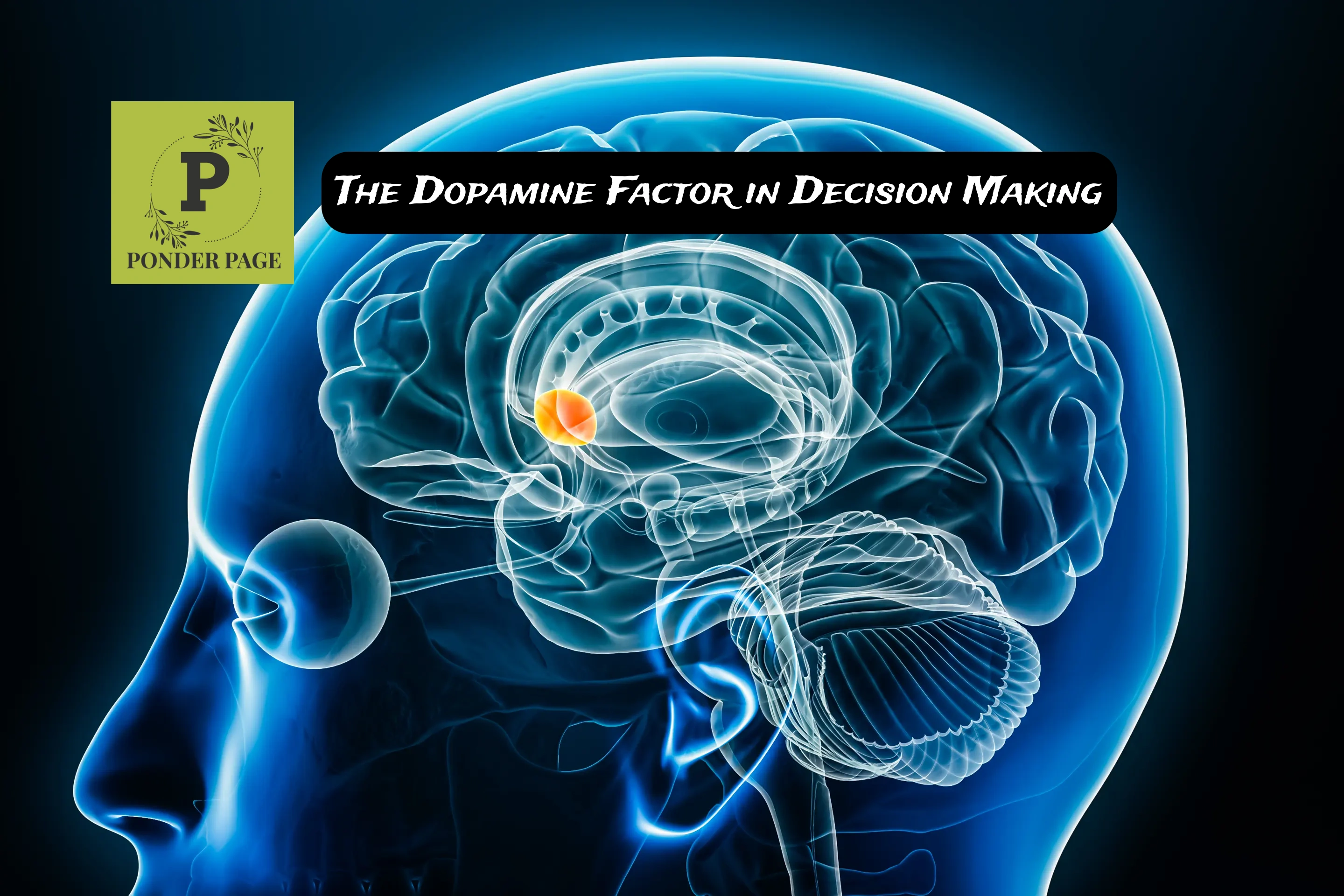The Dopamine Factor in Decision Making