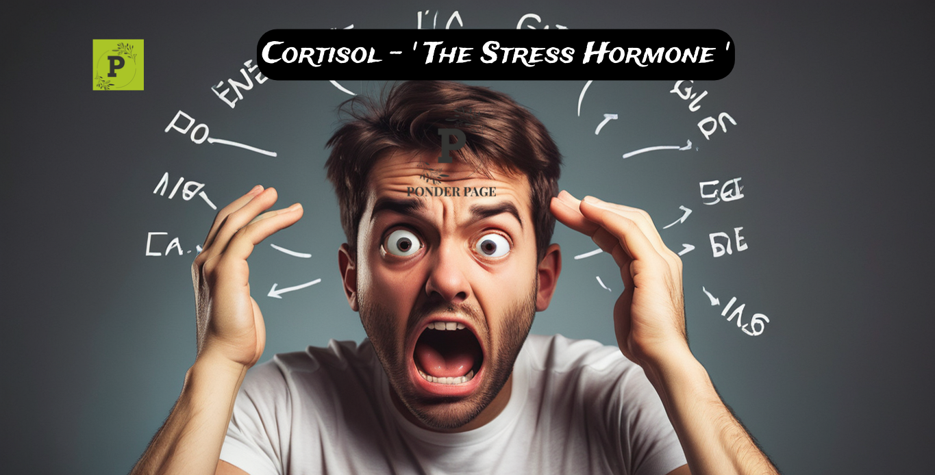 Cortisol ‘The Stress Hormone’
