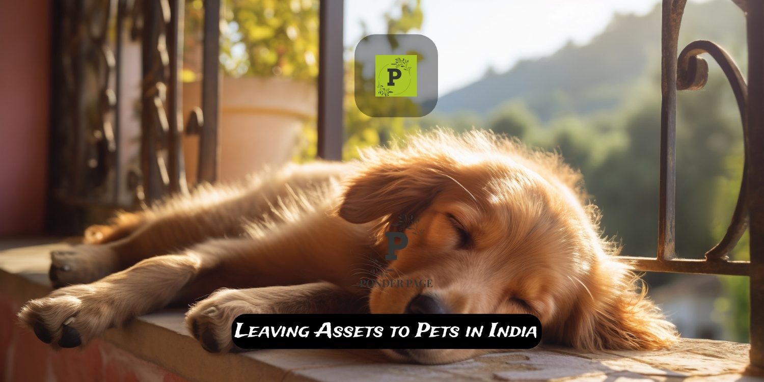 Leaving Assets to Pets in India: Legal and Practical Challenges